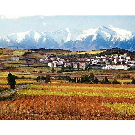 Entre Mer Et Montagne Montner Экстерьер фото